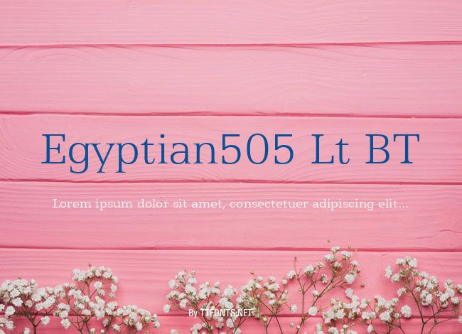 Egyptian505 Lt BT example